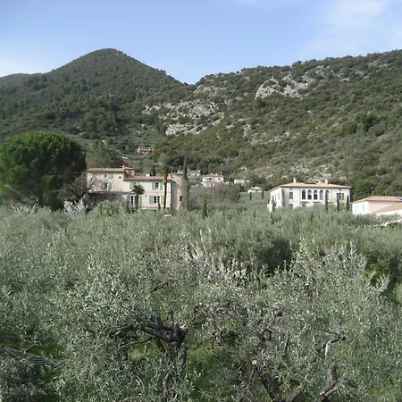 La Belle Etoile